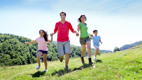 What is Pro-biotics?